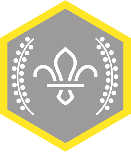 chief_scouts_silver_award_cubs_rgb_png